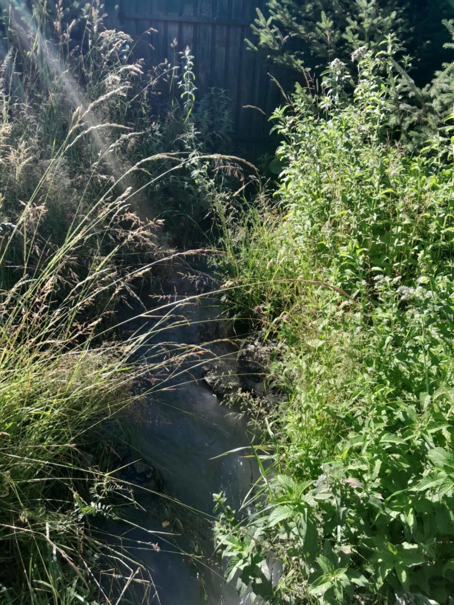 Waterfall In The Yard คาราโคล ภายนอก รูปภาพ